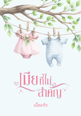 เมียที่ไม่สำคัญ