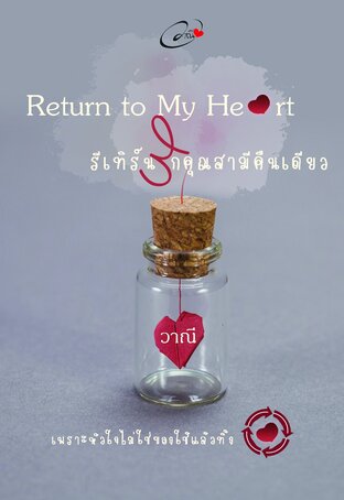 รีเทิร์นรักคุณสามีคืนเดียว