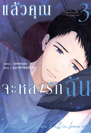 แล้วคุณจะหลงรักฉัน เล่ม 3