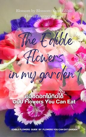 The Edible Flowers in my garden 1 ดอกไม้กินได้ในสวนของฉัน