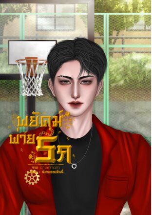 พยัคฆ์พ่ายรัก