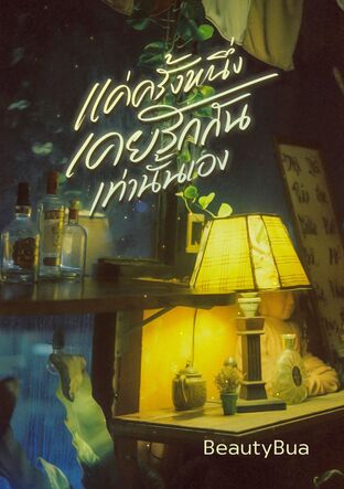 แค่ครั้งหนึ่งเคยรักกันเท่านั้นเอง