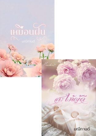 SET สะใภ้ในฝัน