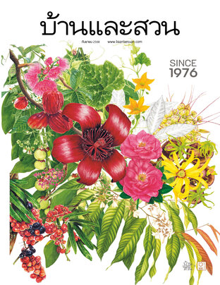 บ้านและสวน No. 589