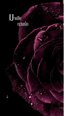 มาเฟียหวงรัก