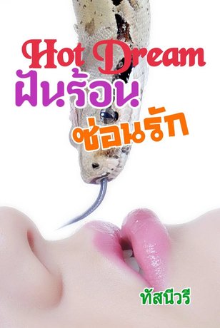 ฝันร้อนซ่อนรัก Hot Dream