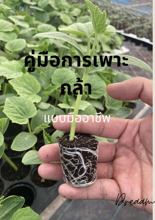 คู่มือการเพาะกล้าแบบมืออาชีพ