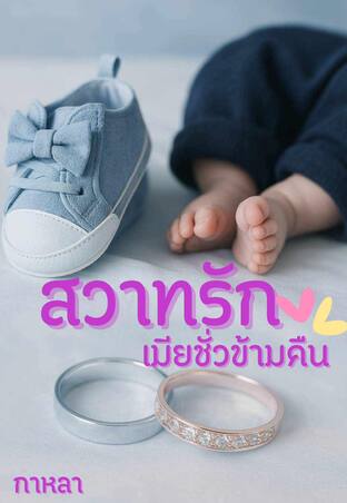 สวาทรักเมียชั่วข้ามคืน