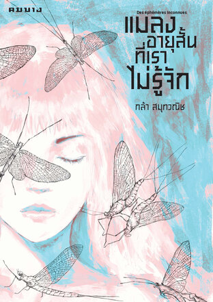 แมลงอายุสั้นที่เราไม่รู้จัก
