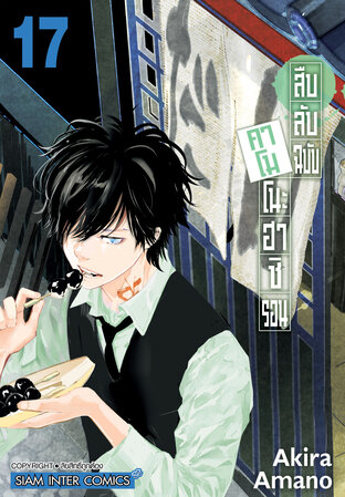 สืบลับฉบับคาโมโนะฮาชิ รอน เล่ม 17