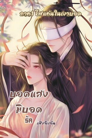 บอดแสงมิบอดรัก เล่ม1