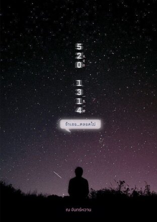 520 1314 รักเธอ...ตลอดไป