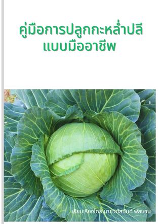 คู่มือการปลูกกะหล่ำปลีแบบมืออาชีพ