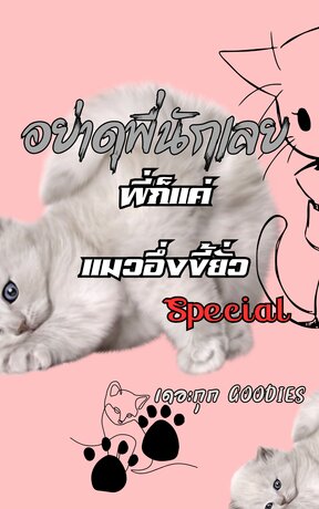 อย่าดุพี่นักเลย พี่ก็แค่แมวอึ่งขี้ยั่ว Special