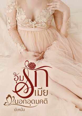 อุ้มรักเมียนอกอุดมคติ