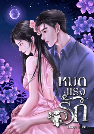 หมดแรงรัก