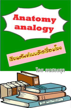 anatomy analogy เรียนศัพท์แบบคิดเชื่อมโยง
