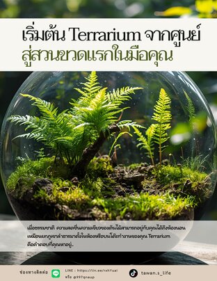 เริ่มต้น Terrarium: จากศูนย์สู่สวนขวดแรกในมือคุณ