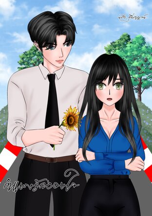 กำแพงรักลวงใจ