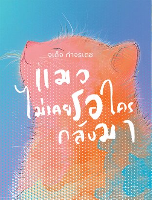 แมวไม่เคยรอใครกลับมา