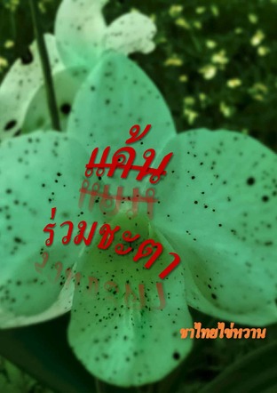 แค้นร่วมชะตา