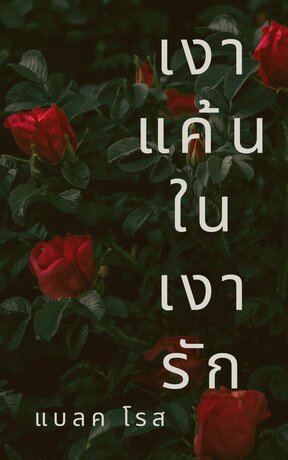 เงาแค้นในเงารัก