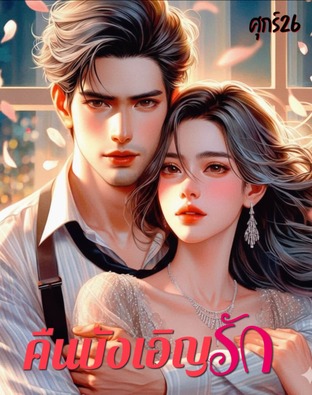 คืนบังเอิญรัก