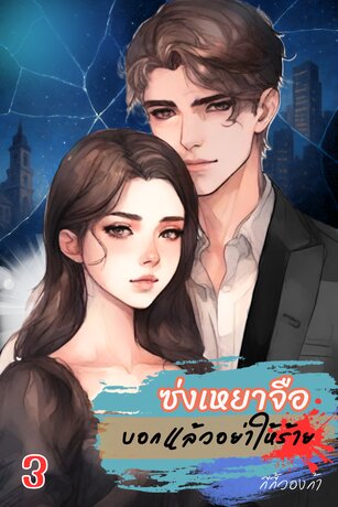 ซ่งเหยาจือ : บอกแล้วอย่าให้ร้ายเล่ม 3