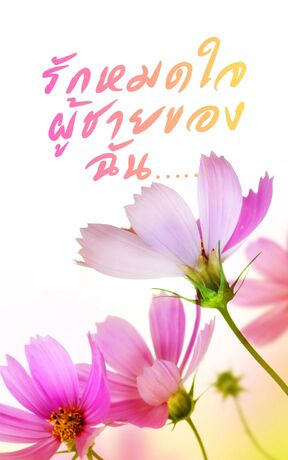 รักหมดใจผู้ชายของฉัน&hellip;&hellip;