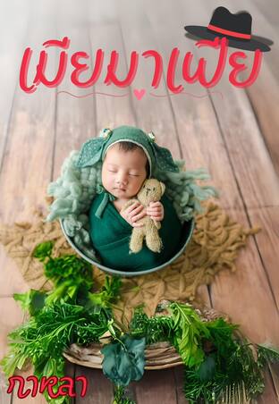 เมียมาเฟีย(รัก)