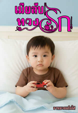 เมียลับทวงรัก