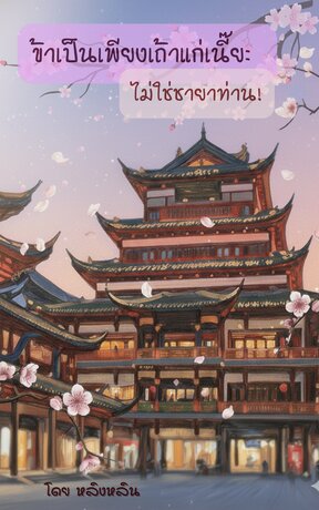 ข้าเป็นเพียงเถ้าแก่เนี๊ยะ ไม่ใช่ชายาท่าน!