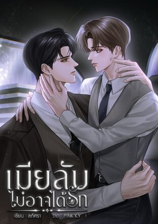 เมียลับไม่อาจได้รัก | mperg