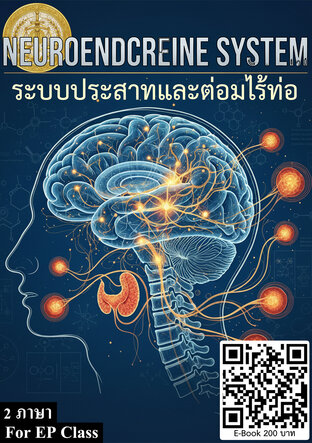 NEUROENDOCRINE SYSTEM ระบบประสาทและต่อมไร้ท่อ