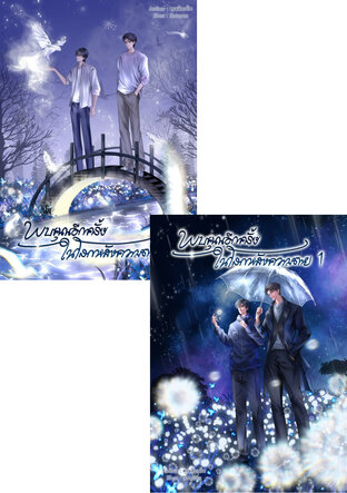 SET พบคุณอีกครั้งในโลกหลังความตาย 2 เล่ม จบ