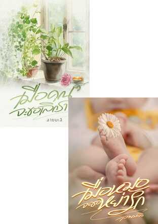 SET หย่า เลิก รัก