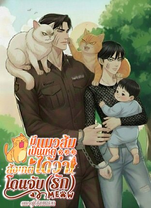 มีแมวส้มเป็นเหตุสังเกตได้ว่าโดนจับ(รัก)