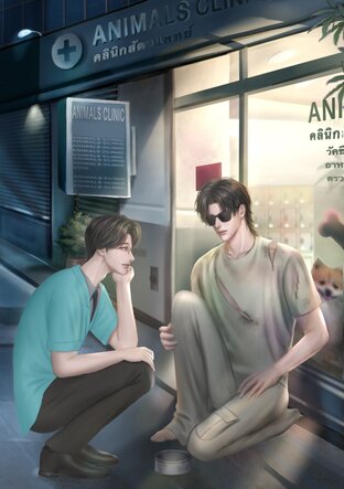 ทรงสืบสุดรักของหมอธีรเดช