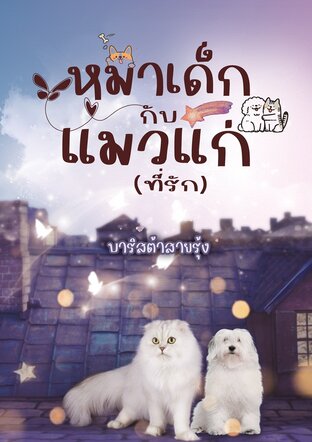 หมาเด็กกับแมวแก่(ที่รัก)