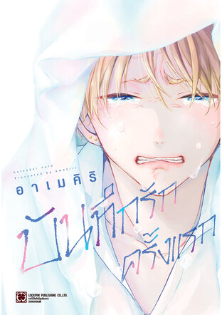 บันทึกรักครั้งแรก (เล่มเดียวจบ)