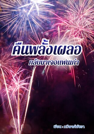 คืนพลั้งเผลอกลับมาเจอแฟนเก่า