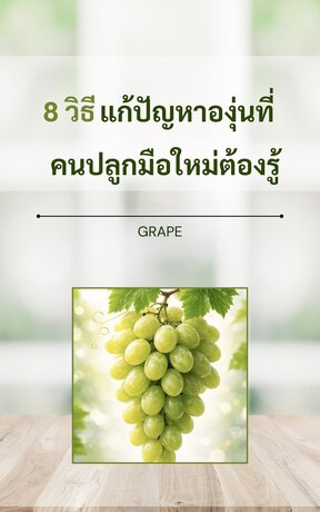 8 วิธีแก้ปัญหาองุ่น ที่คนปลูกมือใหม่ต้องรู้