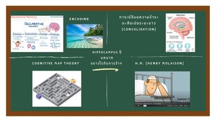 สมองกับการรู้คิด