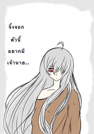 จิ้งจอกตัวนี้อยากมีเจ้านาย