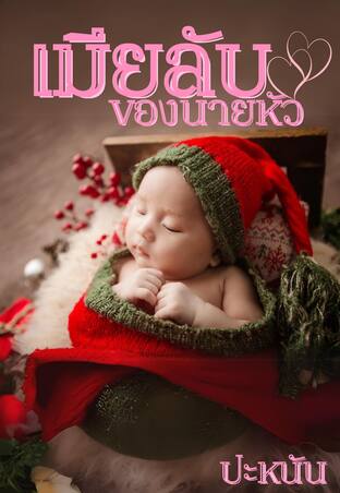 เมียลับของนายหัว