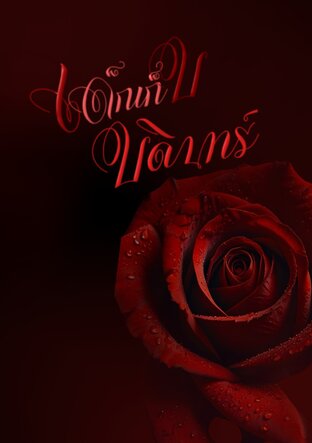 เด็กเก็บบดินทร์