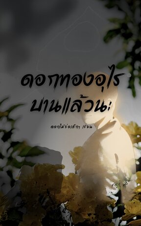 ดอกทองอุไรบานแล้วนะ