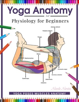 Yoga Anatomy and Physiology for Beginners: Yoga Poses Muscles Anatomy