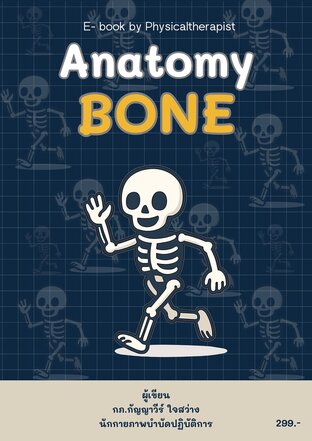 Anatomy Bone