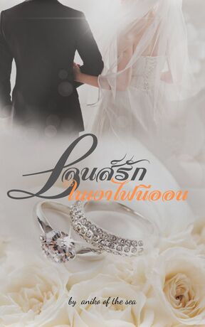 เลนส์รักในเงาไฟนีออน